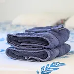 Les Figuiers A 500 M Ferienhaus *