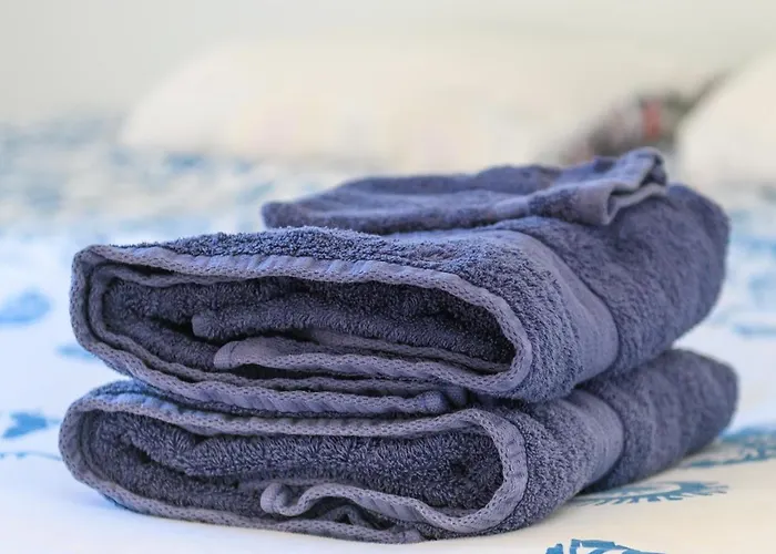 - Les Figuiers Casa de Férias *